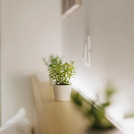 Modern & Stylish 1 Bdr Apartment Athènes Extérieur photo